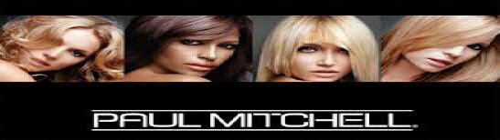 paul mitchell salon in hermitage pa lindy's at the beach